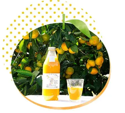 まんまみかんジュースの画像