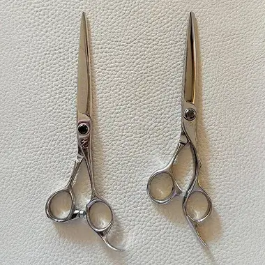 モルクシザーの画像